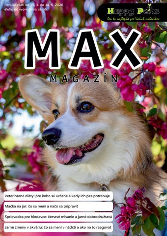 MAX-magazin-03-05-26