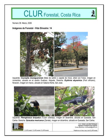 Imágenes de Forestal  - Vida Silvestre 14