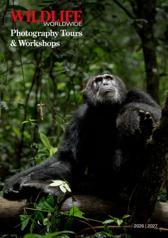 Wildlife Photography Brochure 2026