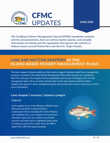 CFMC Updates | June 2025