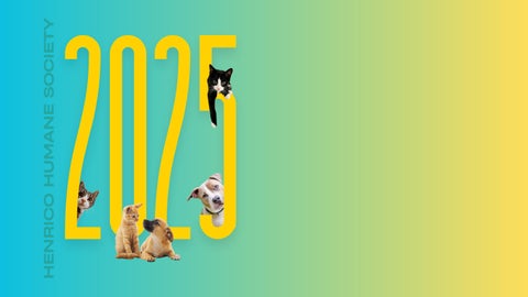 2025 HHS Annual Report
