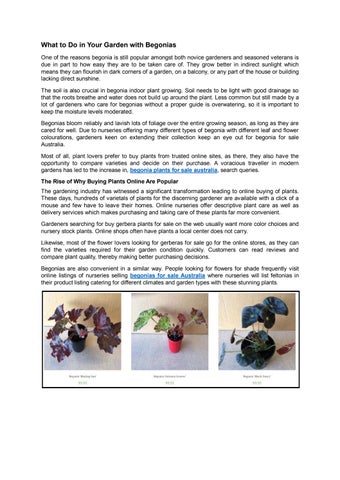 What to Do in Your Garden with Begonias