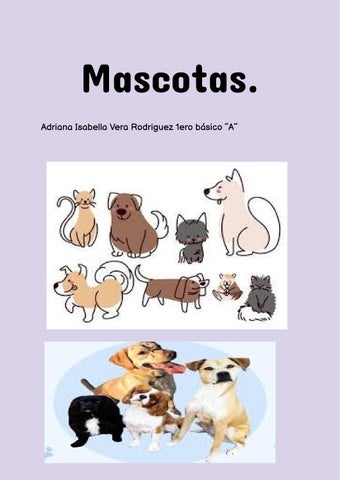 Adriana Isabella Vera Rodríguez - Documento sin título (1)