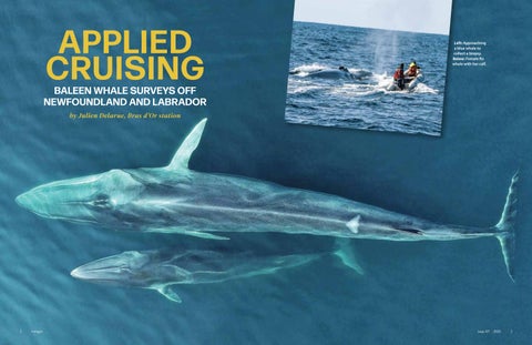 Delarue_Whales_01.18 final-vw