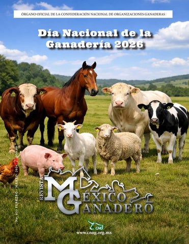 RMG - Nº 633 Febrero - Marzo 2026