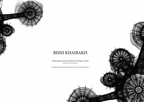 Bisni Khaibakh Portfolio