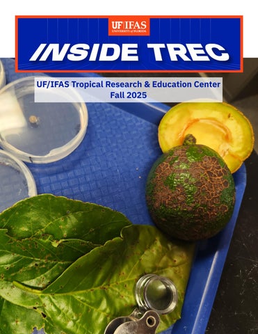 Inside TREC - Fall 2025