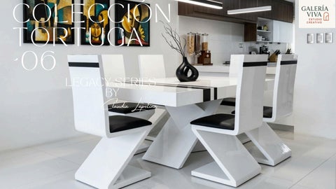 Colección Tortuga 06