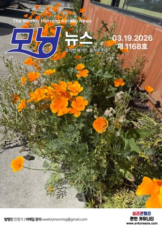 2026년 3월 19일 모닝뉴스