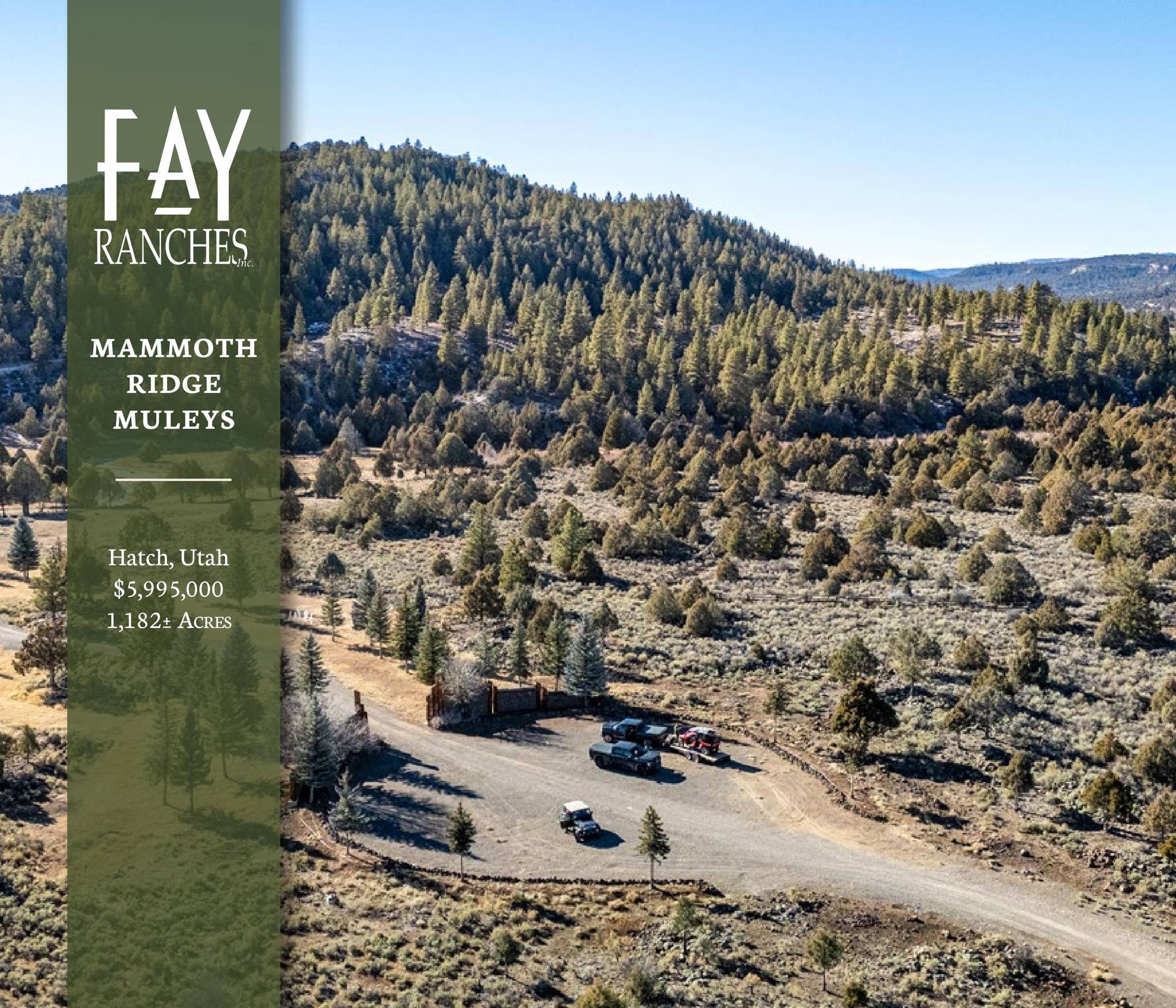 Mammoth Ridge Muleys | Fay Ranches by Fay Ranches - Issuu