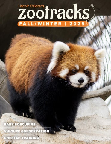 ZooTracks • Fall 2025