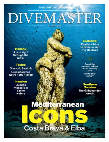 DIVEMASTER 04/26