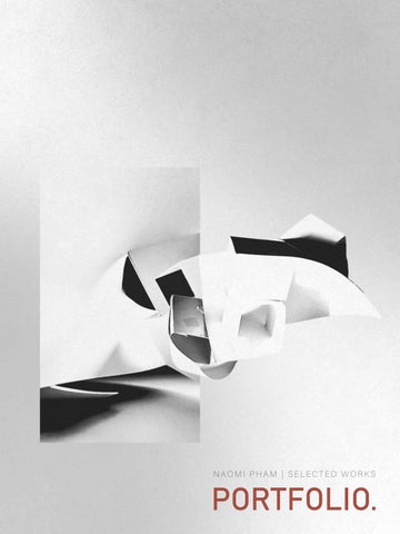 PROFESSIONAL PORTFOLIO