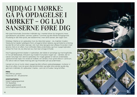 Unikke oplevelser i Fredericia 第 18 页