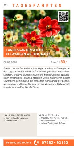 Tagesfahrten 2026 | Diesch Reisen 第 10 页