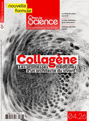 Pour la Science n°582 - avril 2026 - Le collagène