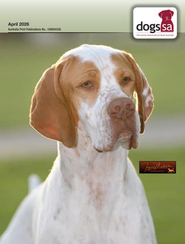 Dogs SA April 2026 
