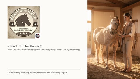 Round-It-Up-for-Horses