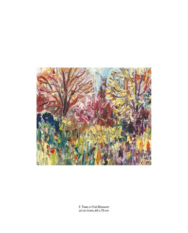 David Cook | Continuing the Search 第 15 页
