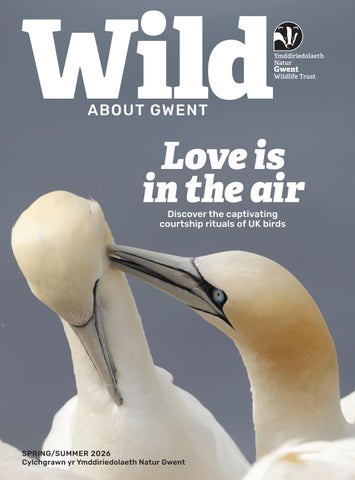 WAG Spring Summer 26 