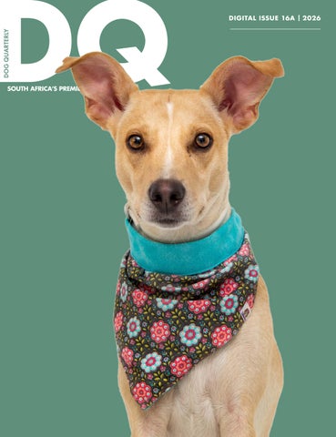 DQ Magazine Issue 16A