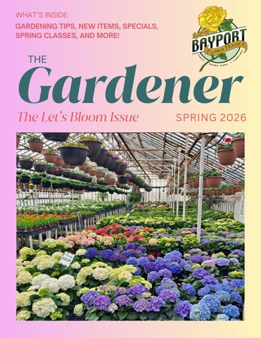 Bayport Flower Houses Newsletter - Spring 2026