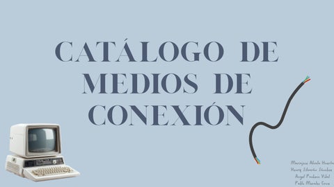 CATALOGO  DE MEDIOS DE CONEXION