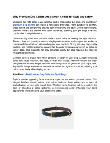 Why Premium Dog Collars Are a Smart Choice for Style and Safety