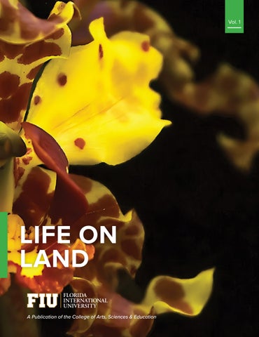 FIU College of Arts, Sciences & Education