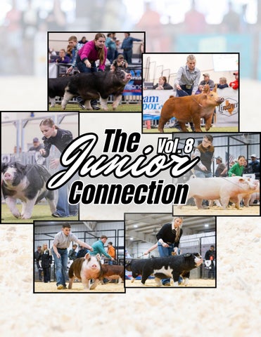 The Junior Connection Vol. 8_Compressed