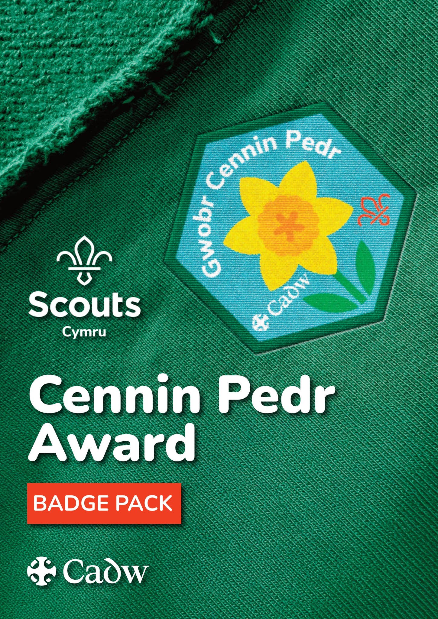 Pedr Scouts Cymru Cennin Pedr Award Pack 2026 by Sarah Garwood Creative - Issuu