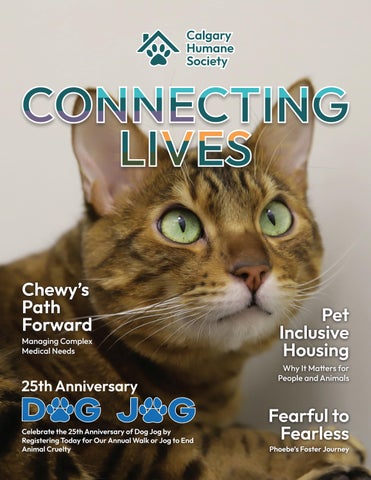 2026 Spring | Connecting Lives