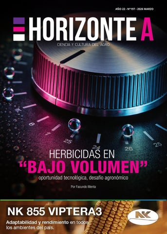 HORIZONTE A N°197