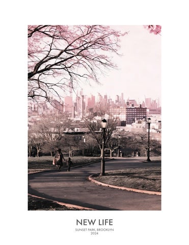 New Life - Sunset Park