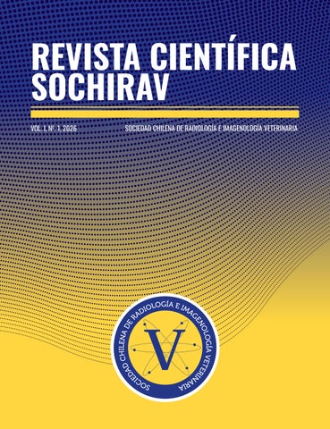 Sochirav - Boletín 1 - V2