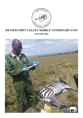 SWT/KWS Rift Valley Veterinary Unit Report for January 2026
