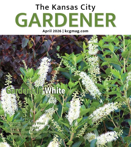 KCG Apr26 issue