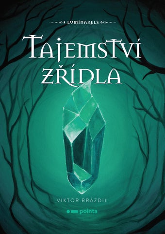 Tajemství zřídla