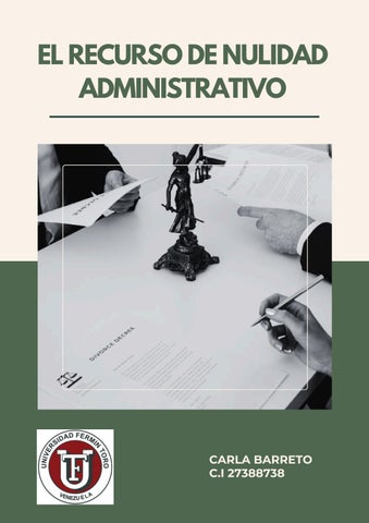 Revista recurso de nulidad