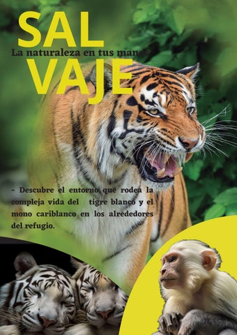 Revista Salvaje
