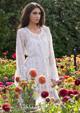 Augustine April 1st 2026