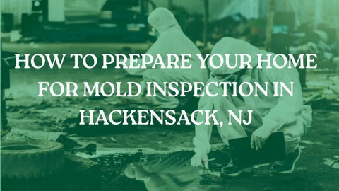 How to Prepare Your Home for Mold Inspection in Hackensack, NJ