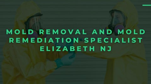 Mold Removal and Mold Remediation Specialist Elizabeth NJ