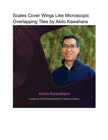 Scales Cover Wings Like Microscopic Overlapping Tiles by Akito Kawahara