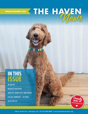 The Haven Spring Summer Newsletter 2026