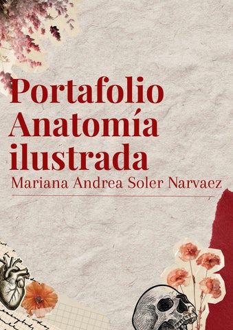 Portafolio Anatomía ilustrada_compressed (1)