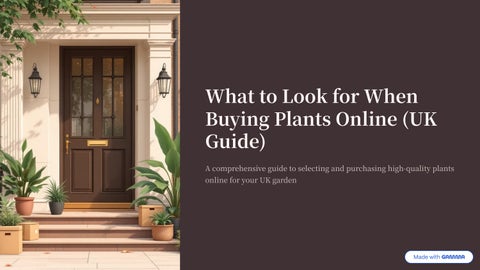 What to Look for When Buying Plants Online in the UK