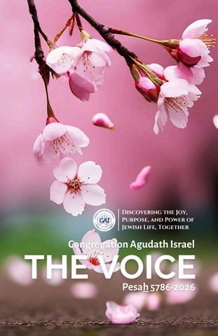 The Voice Pesach 2026