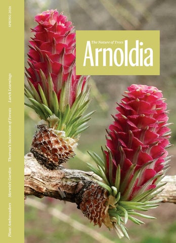 83-1_Arnoldia_All-Pages_150ppi