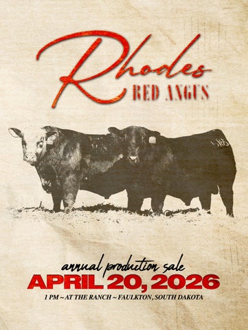 2026 Rhodes Red Angus Annual Production Sale | Faulkton, South Dakota